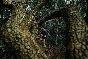 BIB: 
                            <button type="button" onclick="openModal(25701482)" class="btn btn-primary btn-sm float-right btn-popup" data-toggle="modal" data-target=".modal-high-quality">
                        <i class="fas fa-shopping-cart"></i> Add to Cart
                    </button>
                                            <button type="button" onclick="isThisMe(25701482, true)" class="btn btn-success btn-sm float-right btn-popup btn-isme hidden" data-toggle="tooltip" data-placement="bottom" title="นี่คือรูปของคุณใช่ไหม คลิกที่นี่เพื่อเอาเข้าอัลบั้ม">
                        <i class="fas fa-plus"></i> Add to album
                    </button>
                    <button type="button" onclick="isThisMe(25701482, false)" class="btn btn-warning btn-sm float-right btn-popup btn-isnotme hidden">
                        <i class="fas fa-ban"></i> Remove from album
                    </button>